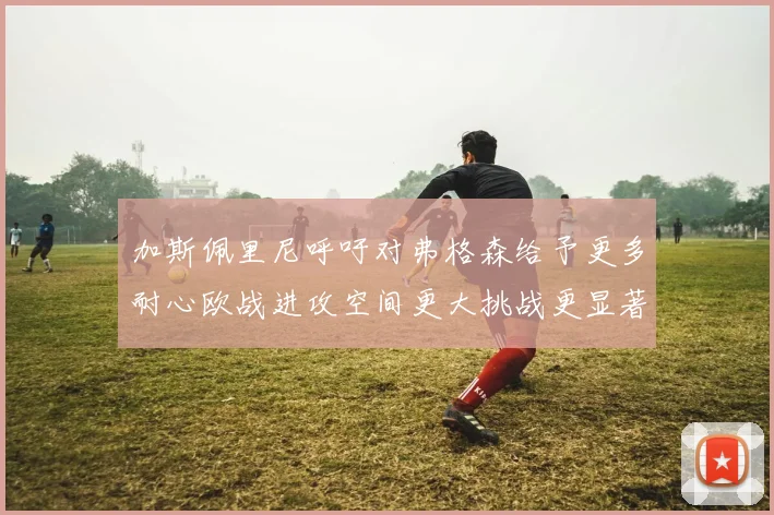 加斯佩里尼呼吁对弗格森给予更多耐心欧战进攻空间更大挑战更显著