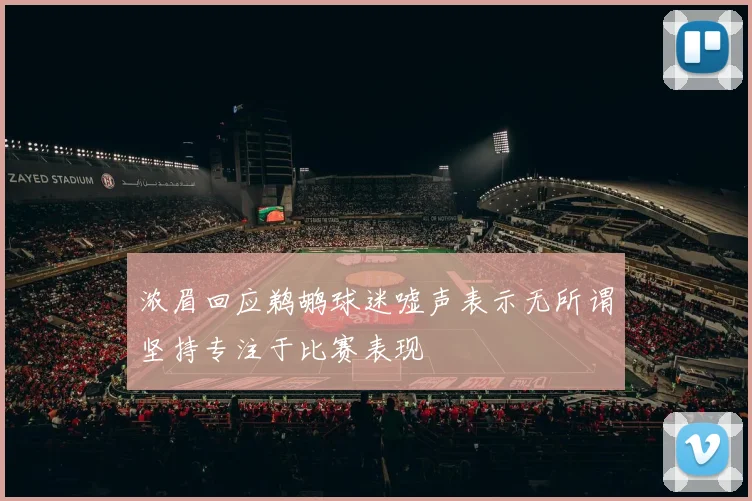 浓眉回应鹈鹕球迷嘘声表示无所谓坚持专注于比赛表现