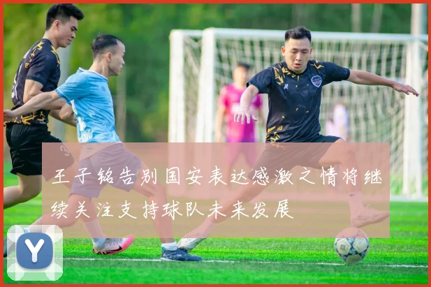 王子铭告别国安表达感激之情将继续关注支持球队未来发展
