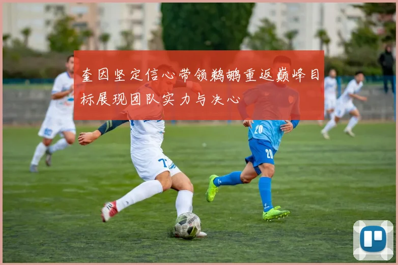 奎因坚定信心带领鹈鹕重返巅峰目标展现团队实力与决心
