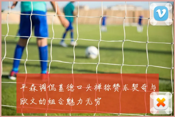 平森调侃基德口头禅称赞东契奇与欧文的组合魅力无穷